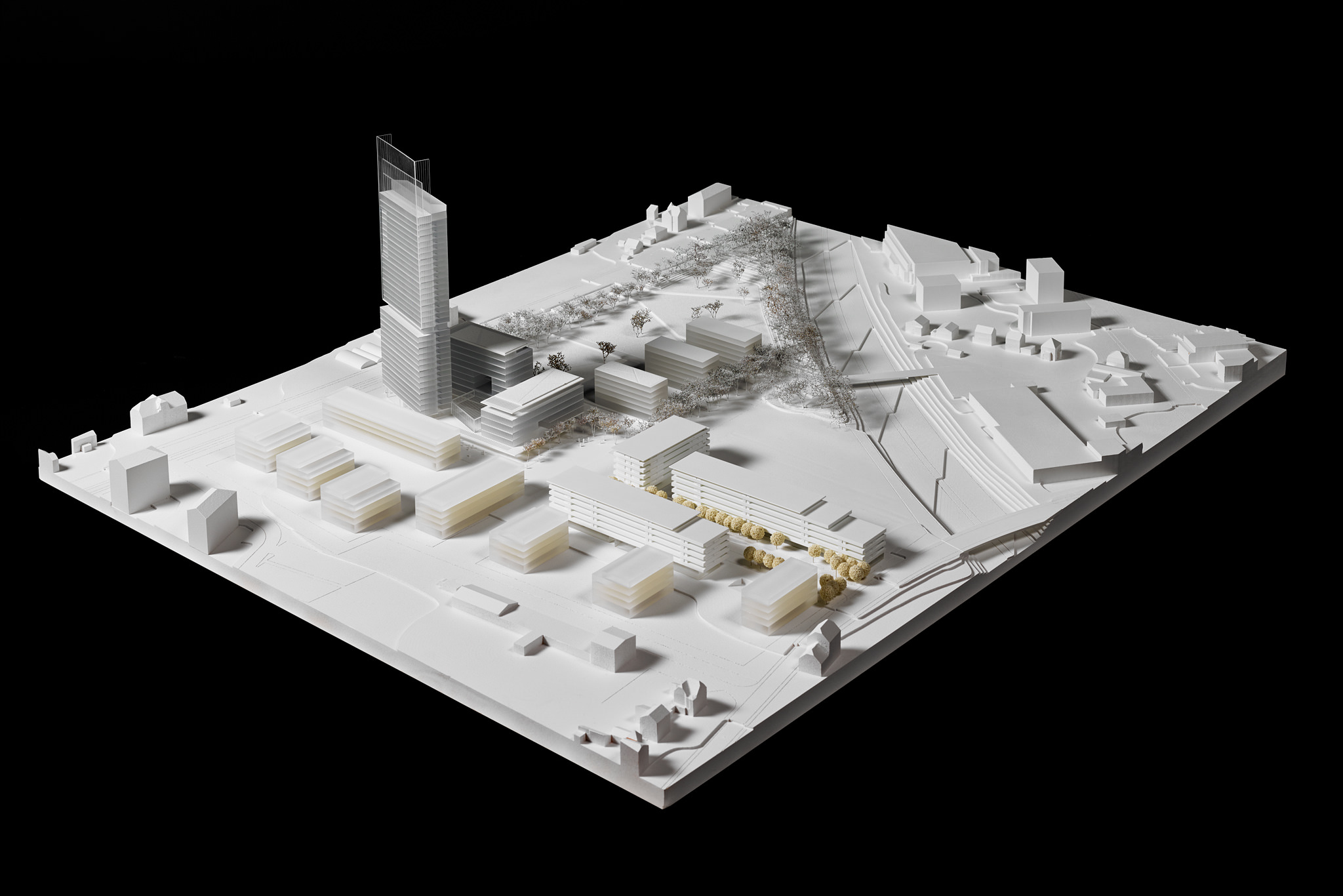 E15567 Alpa 053420 SCREEN